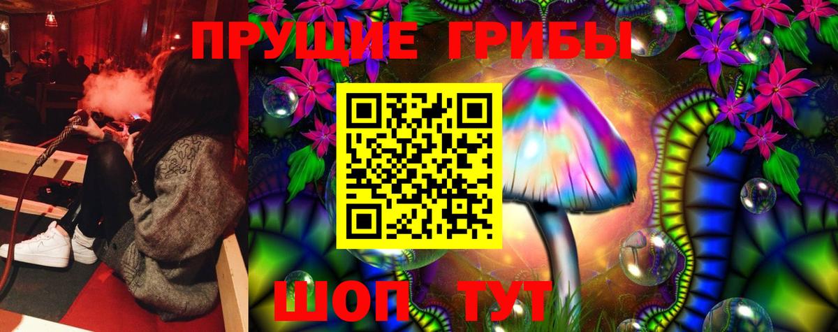 Галлюциногенные грибы Cubensis  Псилоцибиновые грибы Psilocybine cubensis  наркотики  Астрахань  Вход с VPN 